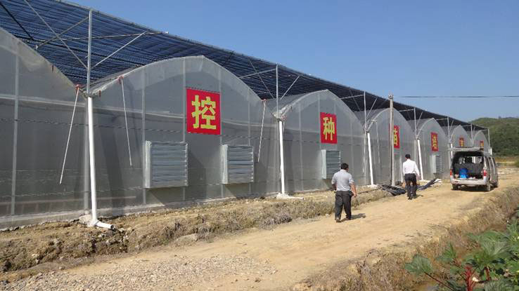蔬菜基地